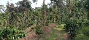 Plot Area in 3 BHK Villa at Suntikoppa – for Sale