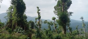 3 BHK Villa – Garden View at Suntikoppa - for Sale