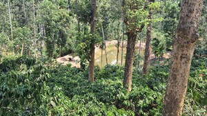 3 BHK Villa – Garden View at Suntikoppa - for Sale