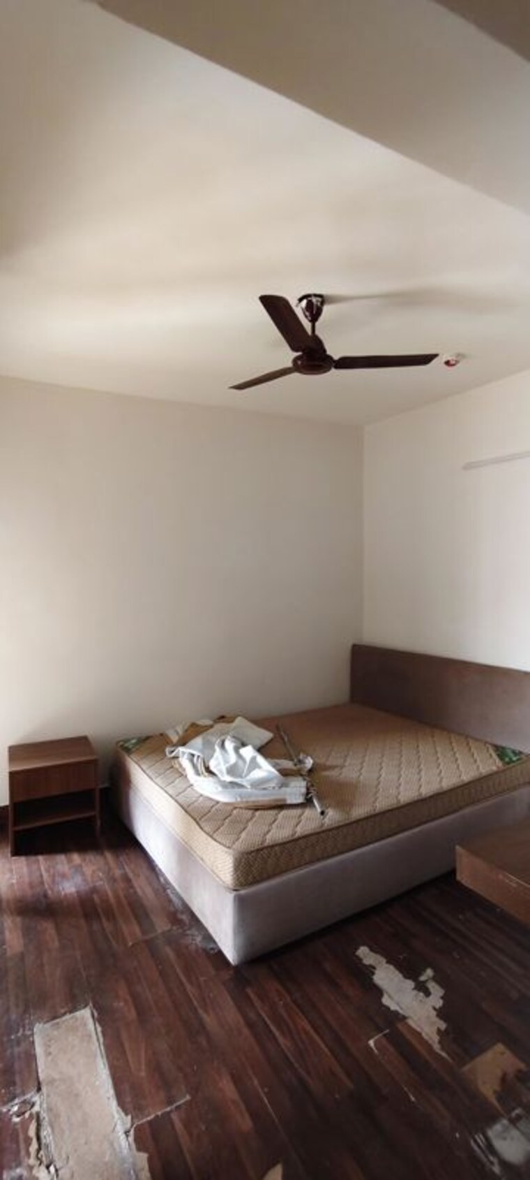 undefined, paras-tierea-studio-apartments 1 Bedroom 455 Sq.Ft. Apartment In Sector 137 Noida 10424868