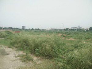 Plot Area in  Plot at Sector 76 – for Sale