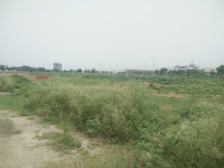 undefined, sector 76  265 Sq.Yd. Plot In Sector 76 Faridabad 10425533