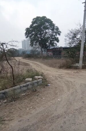 Plot Area in  Plot at Sector 76 – for Sale