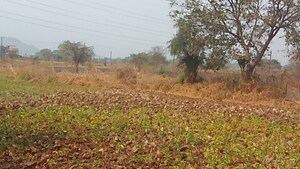 Plot Area in  Plot at Vindhane – for Sale