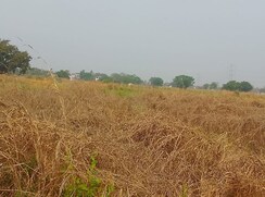 Plot For Sale in Vindhane