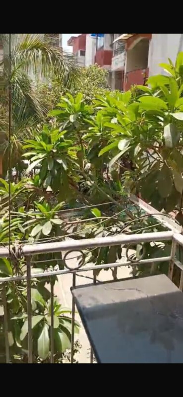 Balcony, ip extension 3 Bedroom 1350 Sq.Ft. Apartment In Ip Extension Delhi 10426002