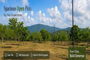  Plot For Sale in Pirangut