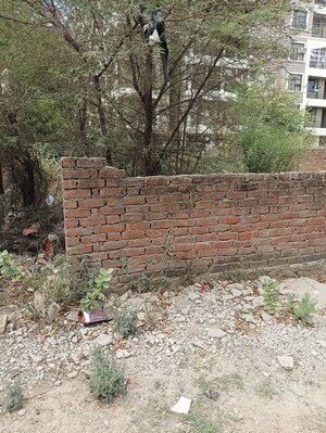 Plot Area in  Plot at Bais Godam – for Sale