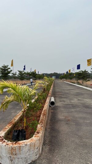  Plot – Exterior View View at Tagarapuvalasa - for Sale