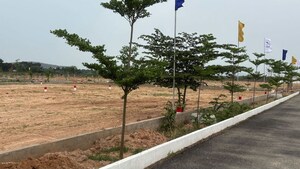  Plot For Sale in Tagarapuvalasa