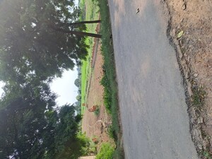 Plot Area in  Plot at Pindra – for Sale