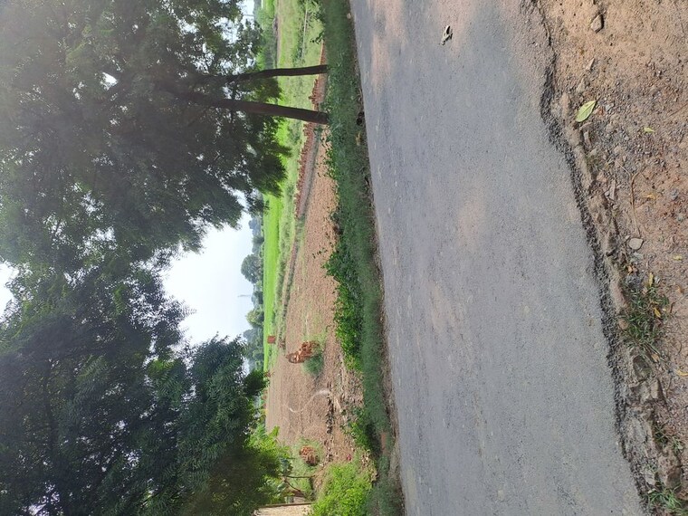 undefined, pindra  1360 Sq.Ft. Plot In Pindra Varanasi 10426576