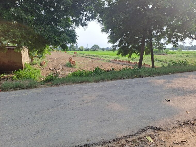 undefined, pindra  1360 Sq.Ft. Plot In Pindra Varanasi 10426576