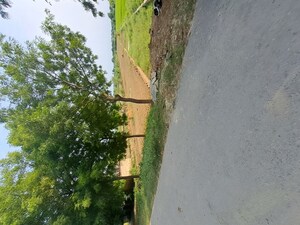 Plot Area in  Plot at Pindra – for Sale