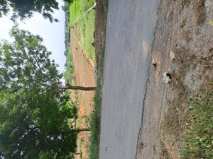 Plot Area in  Plot at Pindra – for Sale