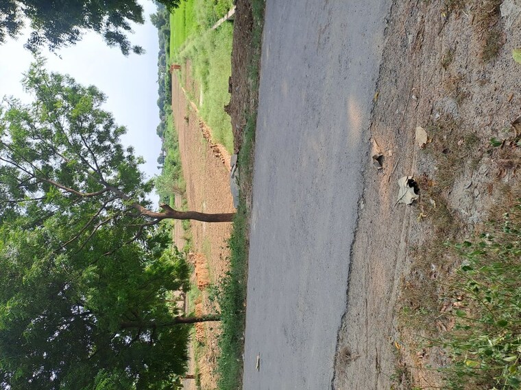 undefined, pindra  1360 Sq.Ft. Plot In Pindra Varanasi 10426576