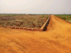 Plot For Sale in Sijua
