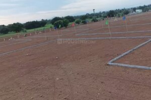 Plot Area in  Plot at Sector Swarn Nagri – for Sale