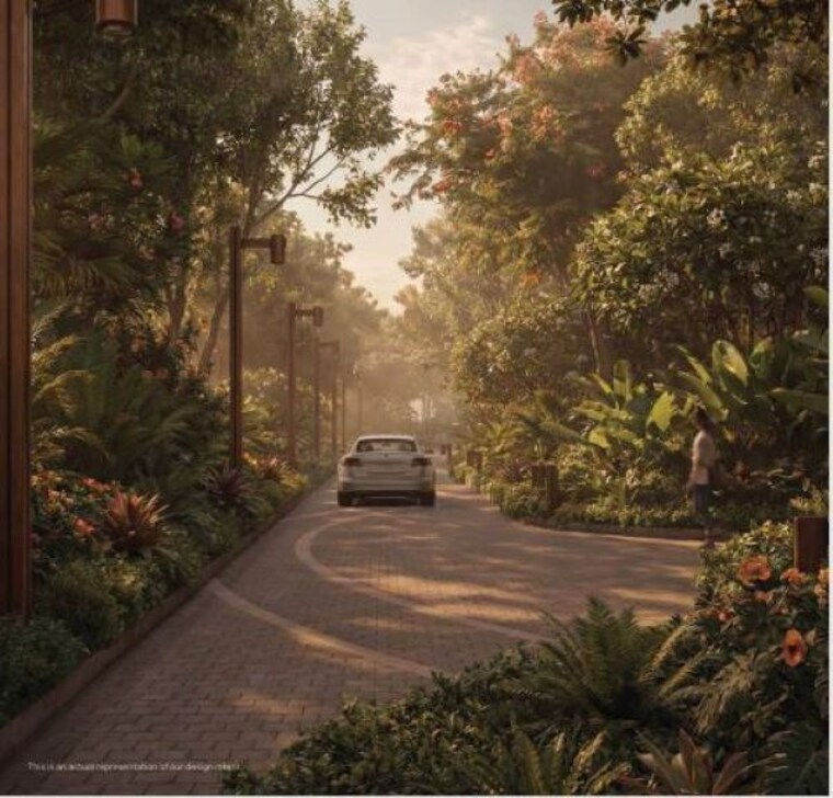 Garden, samali 4 Bedroom 20000 Sq.Ft. Villa In Samali Kolkata 10426757