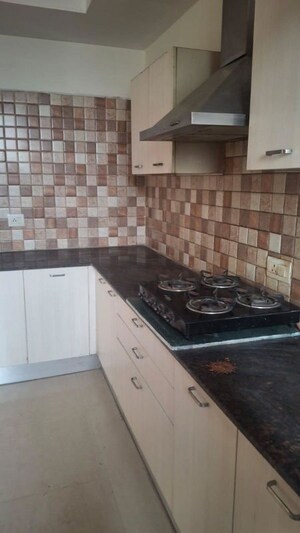 Kitchen in 3.5 BHK Apartment at Jaypee Greens Kalypso Court, Sector 128 – for Rent