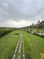 174 Sq.Yd. Plot in Biharigarh
