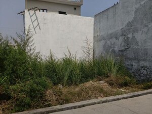 Plot Area in  Plot at Suman Nagar – for Sale