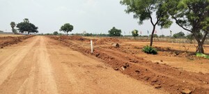 Plot Area in  Plot at Adibatla – for Sale