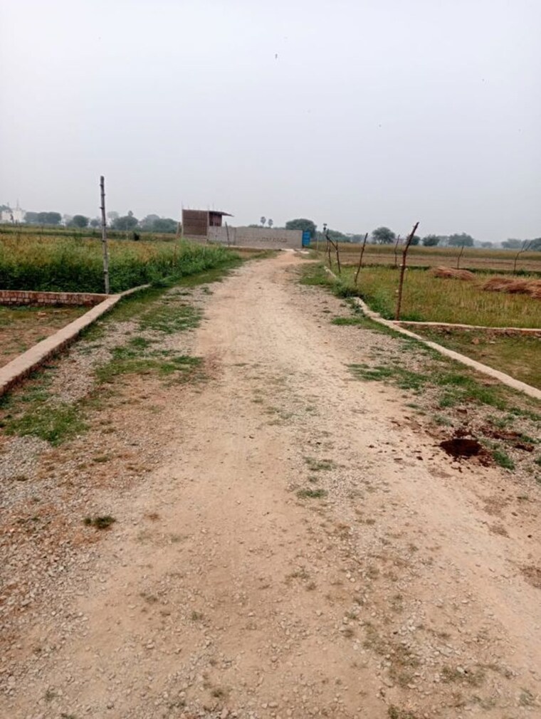 undefined, rohania  1360 Sq.Ft. Plot In Rohania Varanasi 10427524
