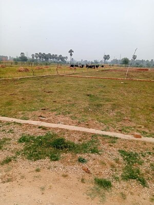 Plot Area in  Plot at Rohania – for Sale