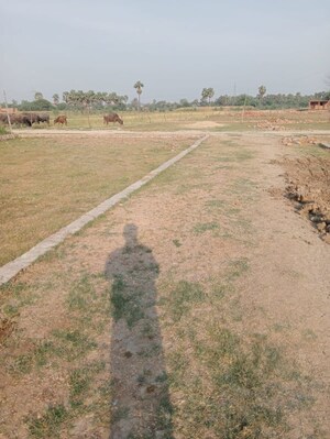 Plot Area in  Plot at Rohania – for Sale