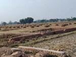 1360 Sq.Ft. Plot in Rohania