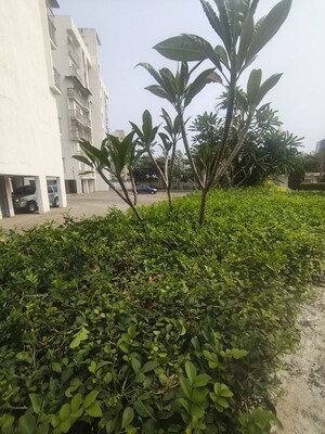 1 BHK Apartment – Garden View at Godrej Vihaa, Badlapur East - for Rent