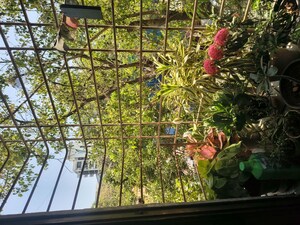 Balcony in 1 BHK Apartment at Chembur – for Rent