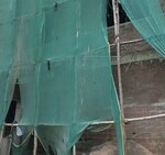 4 BHK 2700 Sq.Ft. Builder Floor in East Of Kailash