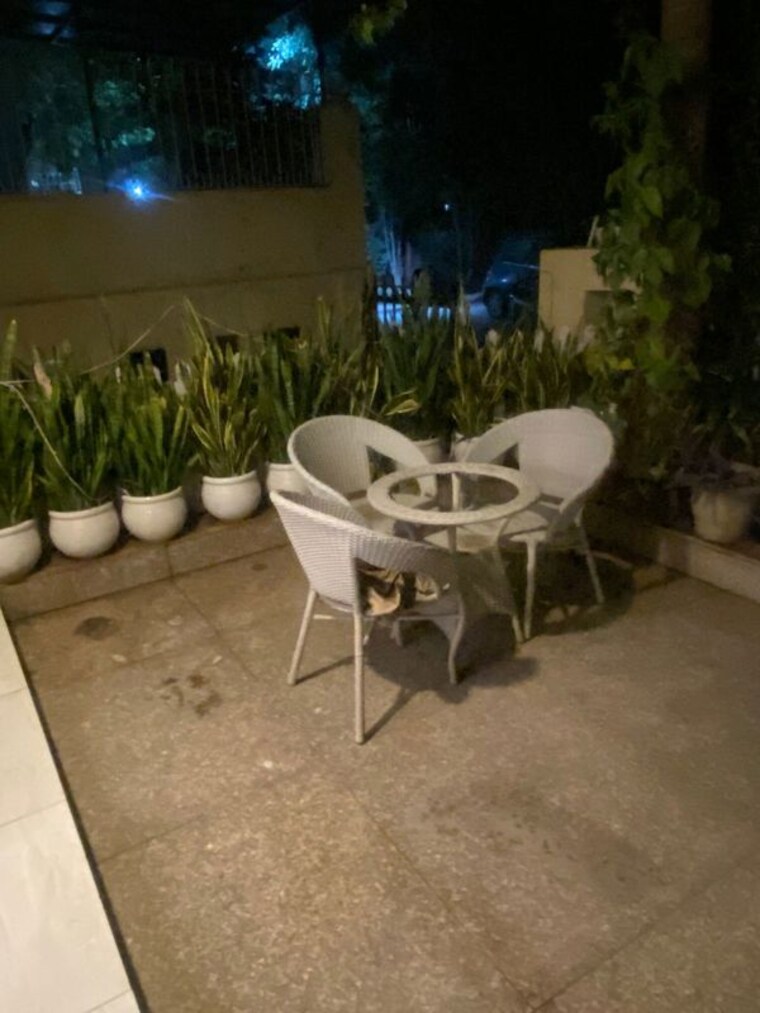 Garden, ansals-flexi-homes 3 Bedroom 1850 Sq.Ft. Builder Floor In Sector 57 Gurgaon 10428025