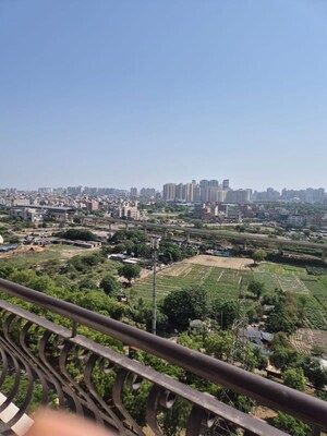 Plot Area in 2 BHK Apartment at Amrapali Silicon City, Sector 76 – for Rent