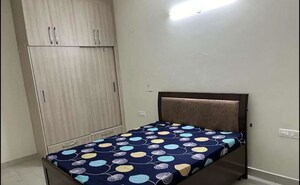 3 BHK Apartment For Rent in NK Sharma Savitry Greens, Lohgarh