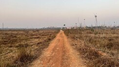 Plot For Sale in Patrapada