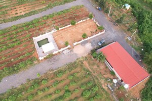   Plot at Kondaveedu – for Sale