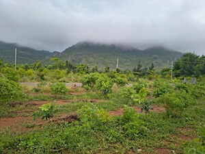 Plot Area in  Plot at Kondaveedu – for Sale