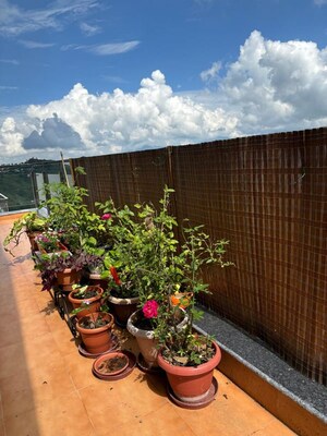 4 BHK Villa – Exterior View View at Ranikhet - for Sale
