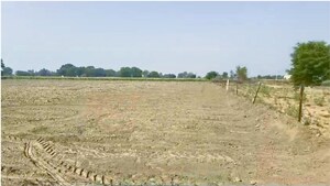  Plot For Sale in Jewar