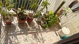 Balcony in 2 BHK Apartment at Unitech Uniworld Gardens 2, Sector 47 – for Rent