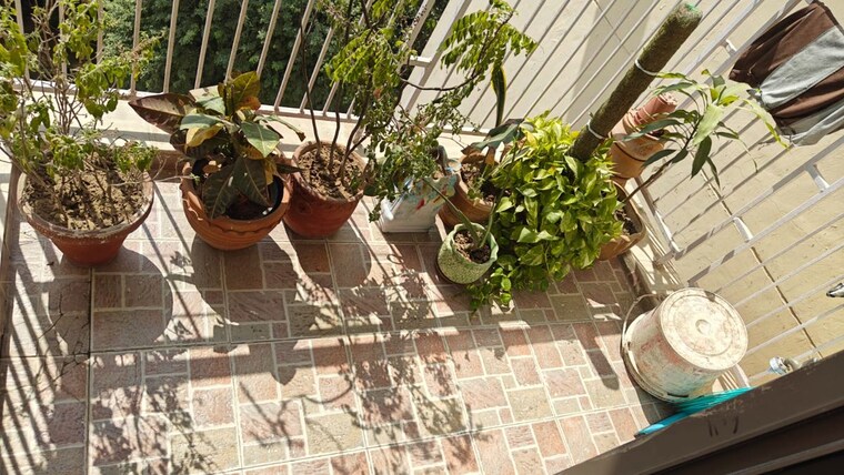 Balcony, unitech-uniworld-gardens-2 2 Bedroom 1050 Sq.Ft. Apartment In Sector 47 Gurgaon 10428455