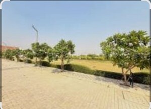  Plot For Sale in Mansha Orchid, Sector 110