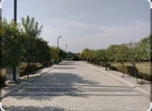 Plot Area in  Plot at Mansha Orchid, Sector 110 – for Sale