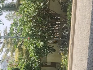 3 BHK Apartment For Rent in INDIS Viva City, Kondapur