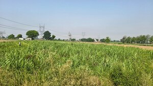 Plot Area in  Land at Jewar – for Sale