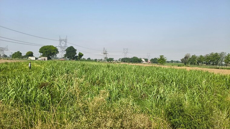 undefined, jewar Commercial Land 6 Acre In Jewar Greater Noida 10428525