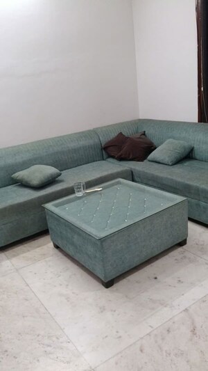 3 BHK Builder Floor For Rent in Vipul World Plots, Sector 48